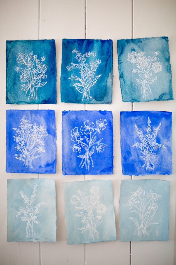 Blooms in Blue - Delphinium