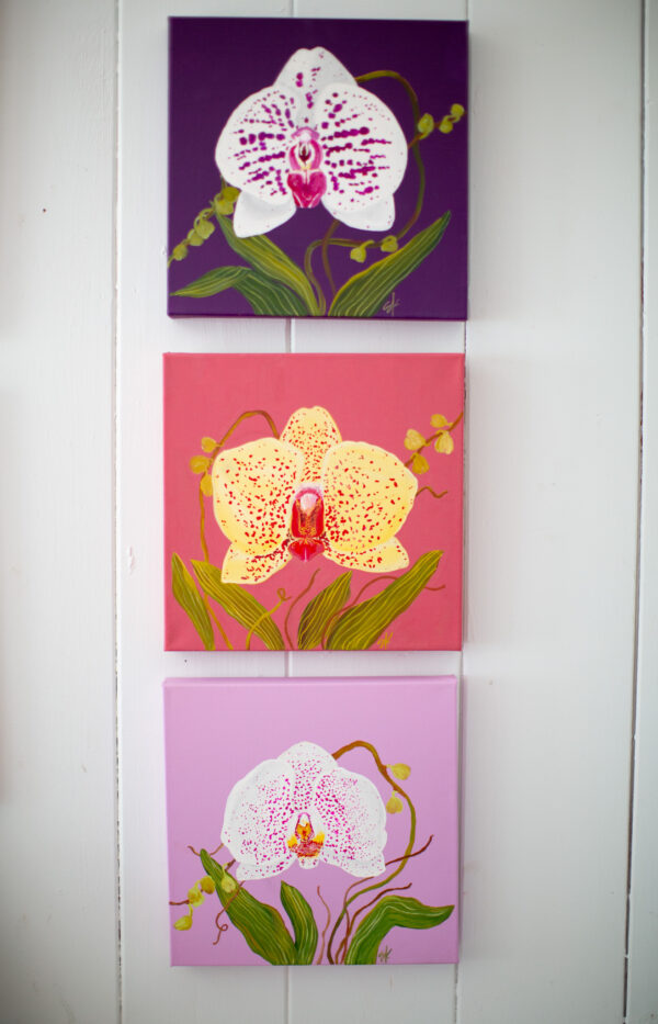 Orchid No. 4