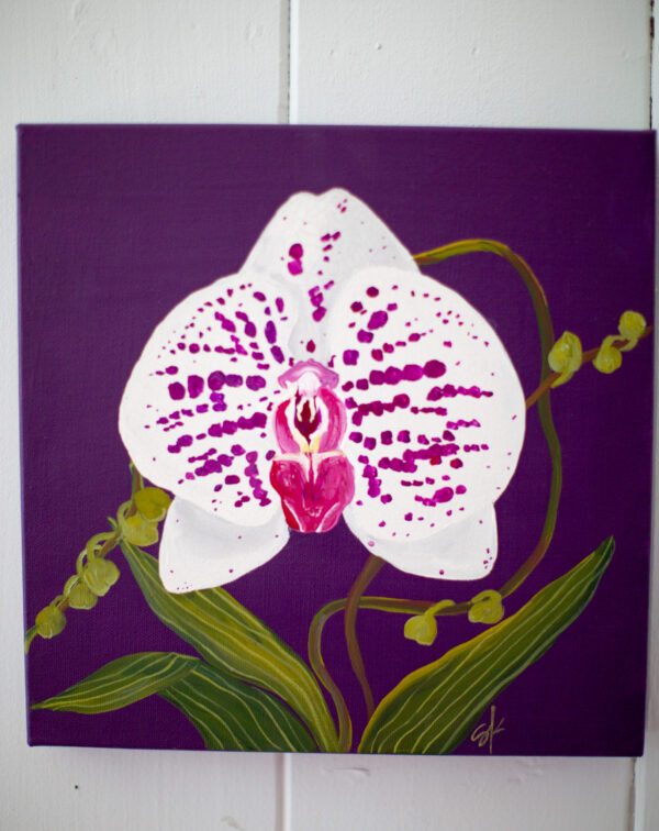 Orchid No. 6