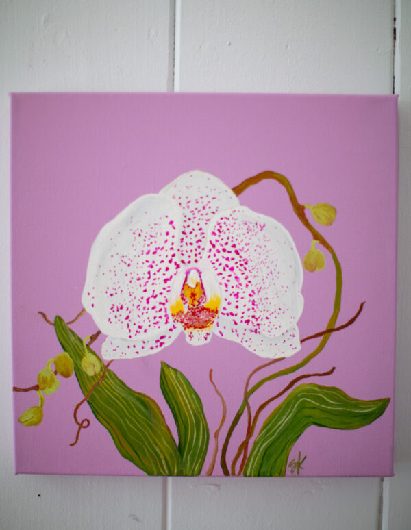 Orchid No. 8