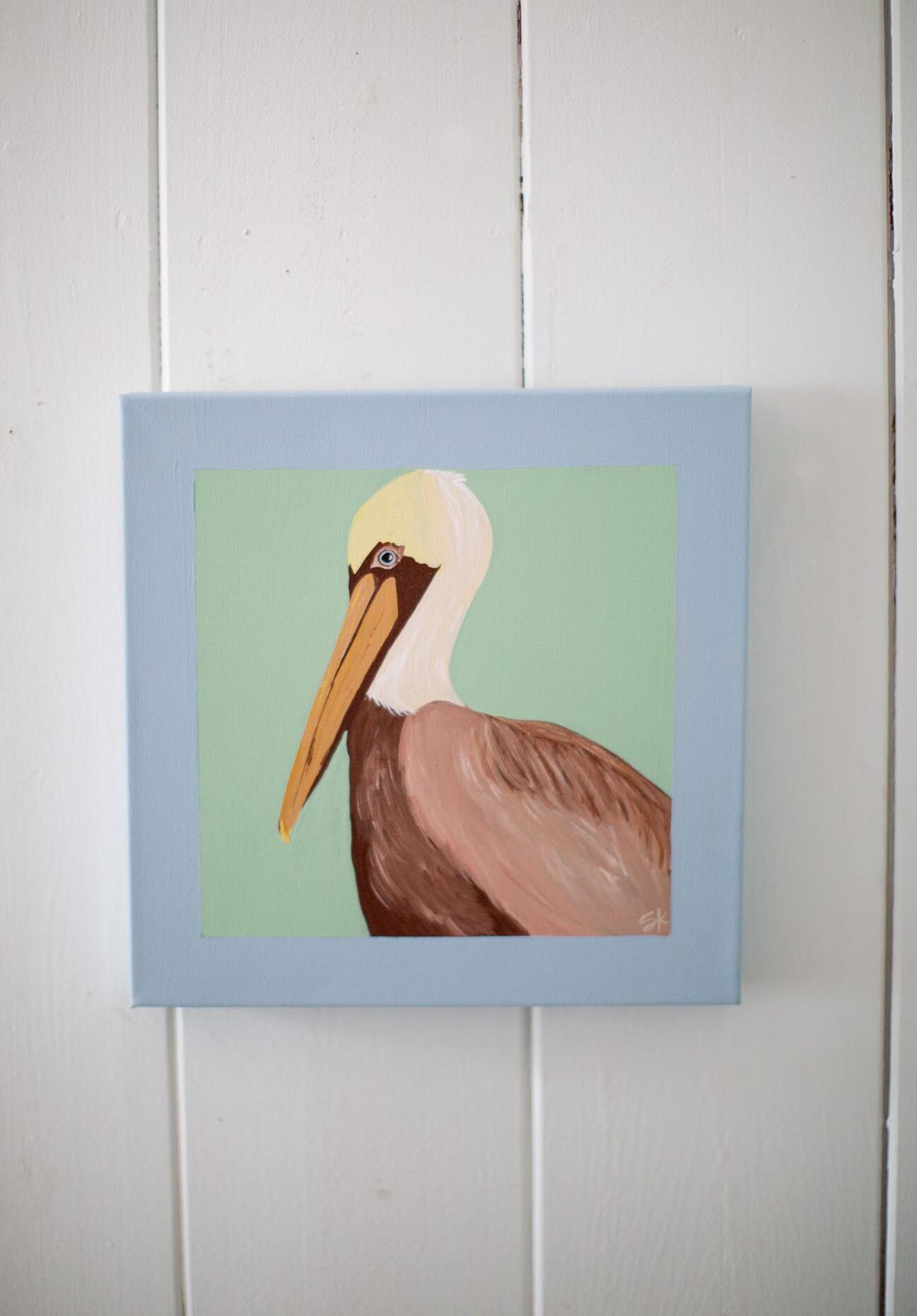 Brown Pelican