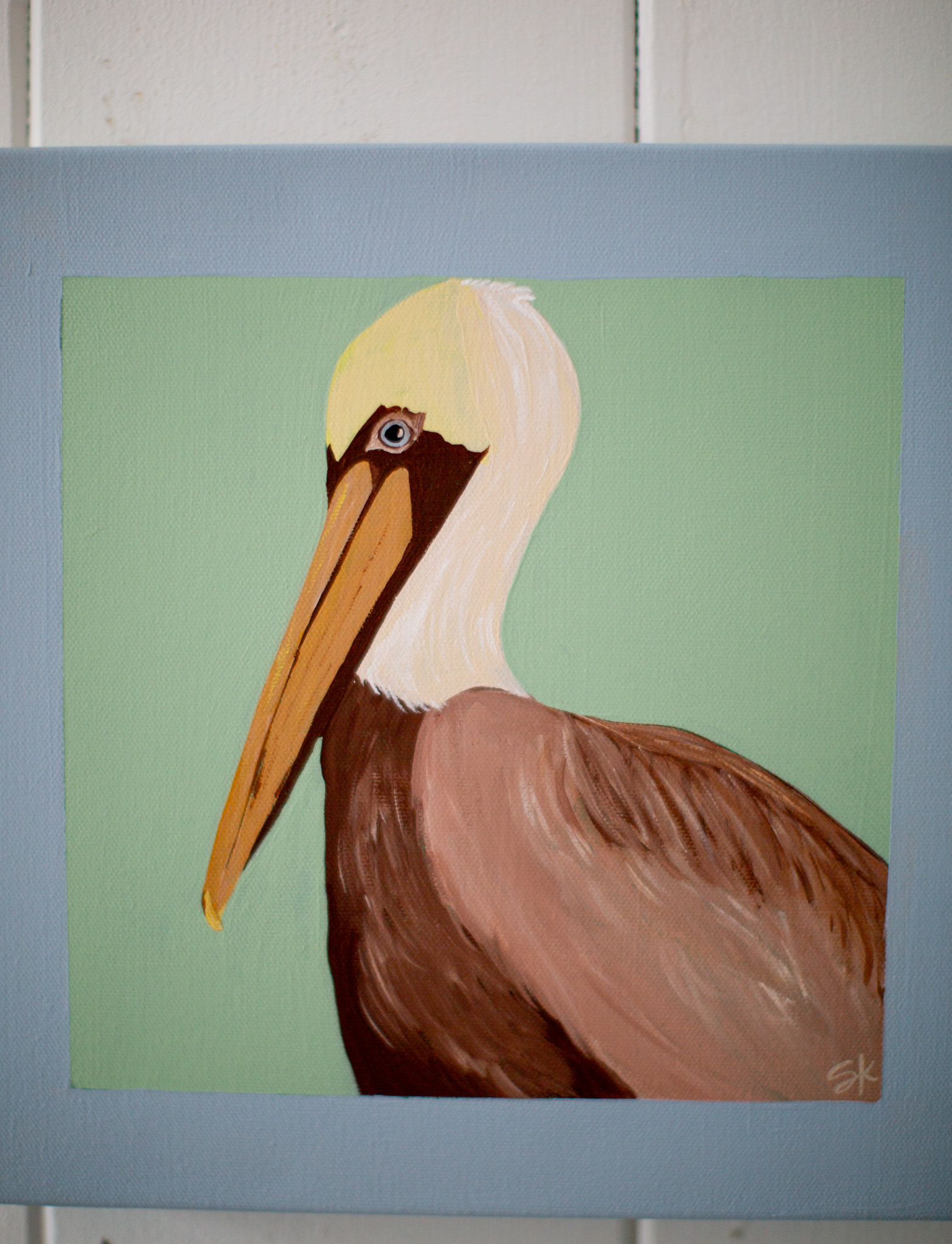 Brown Pelican